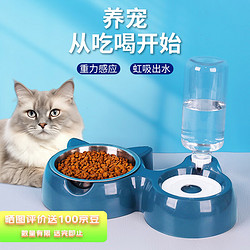 悠梵萌 不锈钢猫狗宠物碗双碗食盆猫咪饮水喂食机防打翻深蓝色1个装