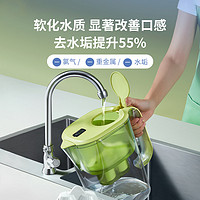 BWT 倍世 净水壶家用净水器4.2L过滤器