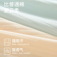 黛尔佳人 DAIERJIAREN内裤女夏季薄款纯棉抗菌全棉裆中腰无痕透气女士三角短裤2024
