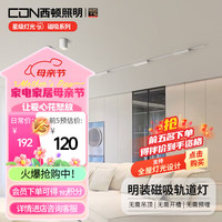 西顿照明（CDN）超薄明装磁吸轨道灯不吊顶客厅线条泛光灯卧室过道全光谱无主灯 【可调格栅】12W 4000K 36°