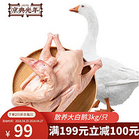 JIN DIAN GUANG NIAN 京典光年 嫩鹅肉 大白鹅3kg/只 大鹅生鲜新鲜冷冻 农家散养鹅整只