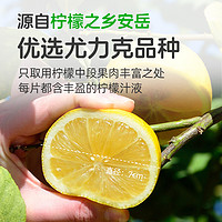 半枝柳 4袋半枝柳纯冻干柠檬片无添糖蜜蜂安岳柠檬