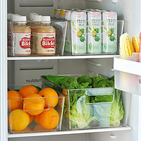BELO 百露 冰箱抽屉式食品级饮料筐水果蔬菜收纳盒冷藏冷冻专用储物盒食品级 高透小号单个装（适合收纳水果）