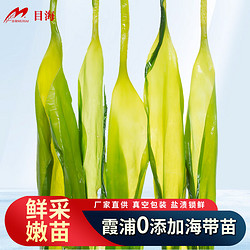 Muhai 目海 福建霞浦 头水嫩海带苗 500g*3袋