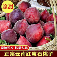 云南新鲜头茬 红宝石桃子 2.5斤装