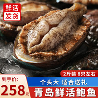 海宏盈 鲍鱼1000g 鲜活大鲍鱼新鲜贝类青岛海鲜佛跳墙火锅食材生鲜 2斤鲍鱼6-10只