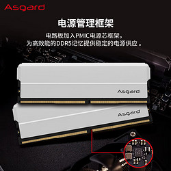 Asgard 阿斯加特 24GB DDR5 5600 台式机内存条 海拉系列