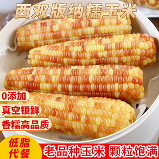 西双版纳傣家香糯小玉米 5斤 约13-16根