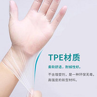 倩挥 一次性tpe手套 L码 5盒