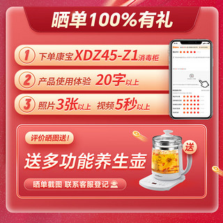 康宝（Canbo）消毒柜 台式 家用 小型桌台面厨房餐具碗筷 婴儿迷你紫外线茶水杯砧板消毒碗柜XDZ45-Z1 一星级 45L 智能AI