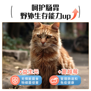  朗仕 爱心救助 猫粮  35g