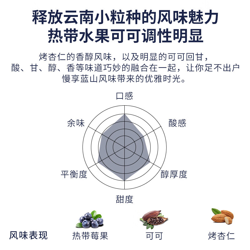 普洱咖啡 豆 500g 家庭装