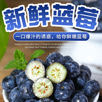 云南新鲜高原蓝莓 果径16~18mm+ 125克/盒*2盒装