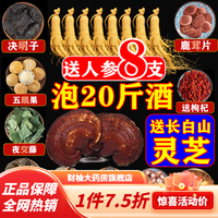 同仁堂 Tongrentang Chinese MedicineGE 通用 泡酒药材养生中老年 原材 100种中药材泡酒配方滋补养生十全大补 背痛泡酒料