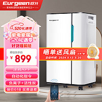 Eurgeen 欧井 除湿机/抽湿机 除湿量20升/天 适用面积40-120㎡ 家用地下室轻音净化干衣吸湿器 OJ-231E