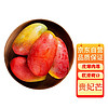 京生果觅 海南贵妃芒  新鲜热带水果红金龙芒果  8.5-9斤装 单果200g+