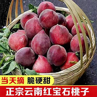莫小仙 云南新鲜头茬 红宝石桃子水蜜桃 5斤装