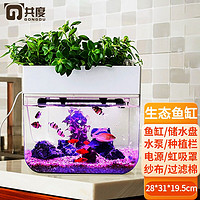 Gong Du 共度 自循环生态金鱼缸水族箱鱼菜共生系统客厅小型家用 鱼缸 鱼菜共生鱼缸