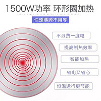 304不锈钢电热水壶大容量自动断电家用全自动保温鸣笛烧水壶加热