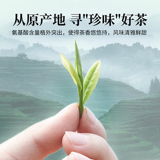 狮峰 安吉白茶2020年新茶狮峰明前特级正宗茶叶礼盒独立小包装袋绿茶 60g