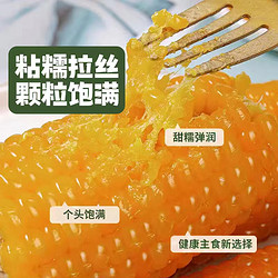 禾咕咕 黄糯玉米鲜食玉米8根1.8kg