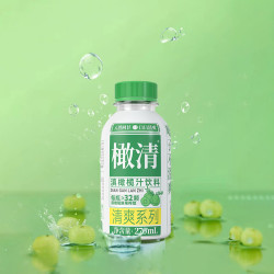 橄清饮料_橄清 每日橄清清爽型玉油柑饮料滇橄榄汁270ml*9瓶果汁无添加清嗓润喉多少钱-什么值得买