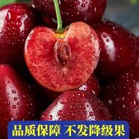 畅果汇 现摘山西大樱桃 带箱5斤 24-26mm