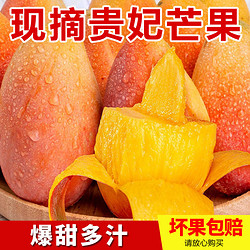 醉美味 广西贵妃芒新鲜芒果当季水果热带芒果催熟变软吃3斤起
