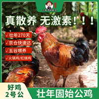 三德子好甄选壮年公鸡好鸡2号山地散养270天土鸡肉质鲜嫩 净重