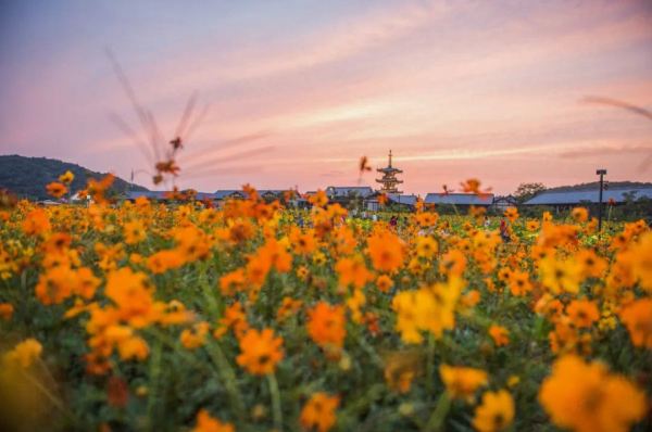 难得的暑假平日不加价,还送价值375元的景区亲子门票!无锡拈花湾禅意村舍/拈花客栈/波罗蜜多酒店 多种房型1晚套餐