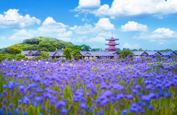 难得的暑假平日不加价,还送价值375元的景区亲子门票!无锡拈花湾禅意村舍/拈花客栈/波罗蜜多酒店 多种房型1晚套餐