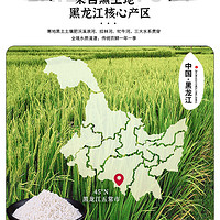 邹有才 东北白糯米新米5斤包粽子专用2023新米圆江米酿酒香农家新鲜杂粮