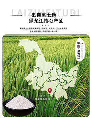 邹有才 东北白糯米新米5斤包粽子专用2023新米圆江米酿酒香农家新鲜杂粮