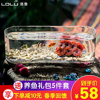 洛鲁 玻璃鱼缸小型客厅创意桌面生态网红金鱼缸长方形迷你办公桌水族箱
