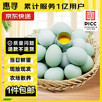 惠寻 京东自有品牌 天然散养初生鲜鸭蛋10枚550g 营养现捡现发