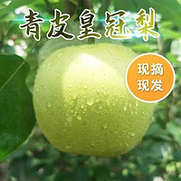 鲜里爽 青皮皇冠梨 净重9斤