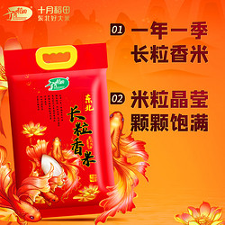 SHI YUE DAO TIAN 十月稻田 长粒香大米5kg东北粳米10斤劲道有嚼劲一年一季真空包装