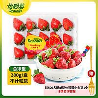 怡颗莓 Driscoll’s云南奶油素颜草莓 约280g/盒
