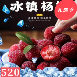 桃花会 520狂欢购！冰杨梅40包（买30送10包） 顺丰包邮
