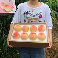 阳山水蜜桃 单果4-5两共 8粒装礼盒