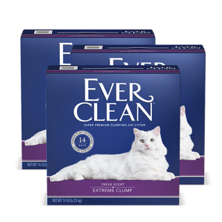 EverClean铂钻美国进口猫砂紫标14磅*3盒膨润土除臭猫砂