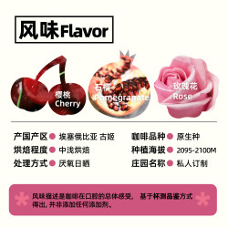 Dream High Coffee 梦想舍 埃塞俄比亚古姬小石榴浅烘焙新鲜手冲精品咖啡豆120g