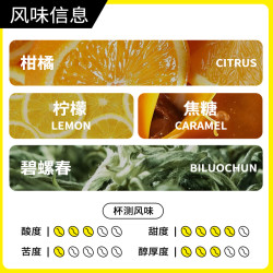 Forest Island 三木屿 「碧螺春」耶加雪菲 水洗 浅烘焙咖啡豆 150g