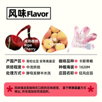 梦想舍 哥伦比亚安蒂奥基亚狂风庄园浅烘焙新鲜手冲精品咖啡豆120g