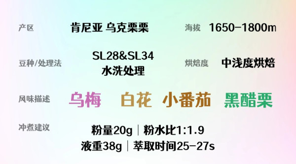 Forest Island 三木屿 「浆果商店」肯尼亚SOE 意式咖啡豆 250g