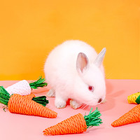 威毕 宠物兔子解闷玩具胡萝卜龙猫荷兰猪兔兔磨牙专用训练耐咬啃咬用品