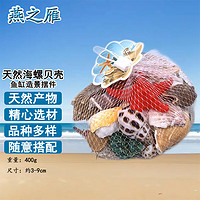 燕之雁 天然海螺贝壳400g 品种多样 鱼缸海洋海底造景装饰摆件 手工材料