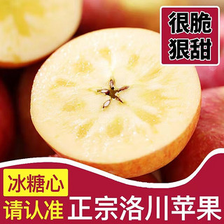 堡鲜生陕西洛川红富士苹果脆甜多汁时令新鲜水果生鲜苹果整箱 80-85mm带箱10斤（净重8.8斤）