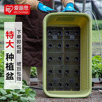 IRIS 爱丽思 蔬菜种植盆西瓜花盆阳台种菜专用箱土豆番茄家庭种菜神器