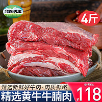 祁连天宝 新鲜生鲜牛腩肉4斤牛腩块牛肉块新鲜冷冻牛排红烧食材 源头直发